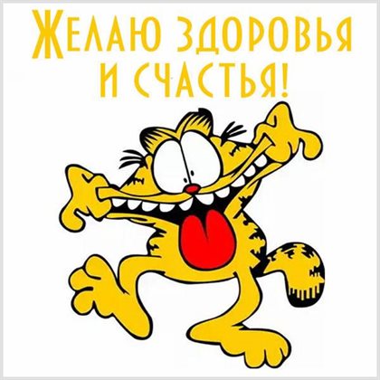 Больше радости в жизни