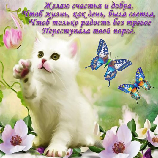 Пусть день будет незабываемым