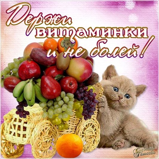 Теплые поздравления