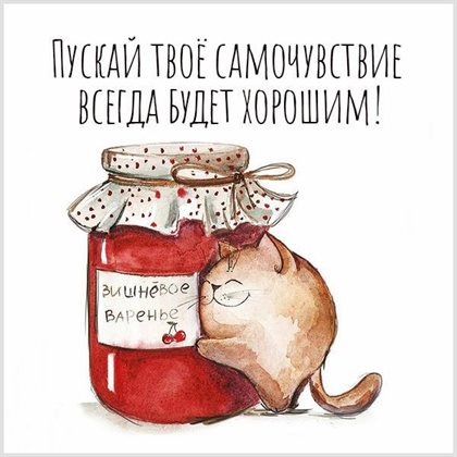 Немного тепла и заботы