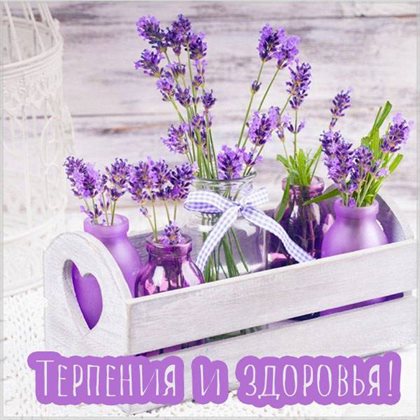 Пусть улыбка не сходит с лица