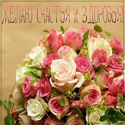 Немного тепла и заботы