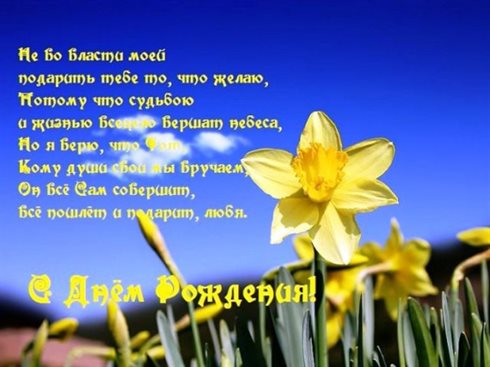 Немного тепла и заботы