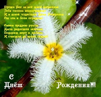 Улыбок, любви и тепла