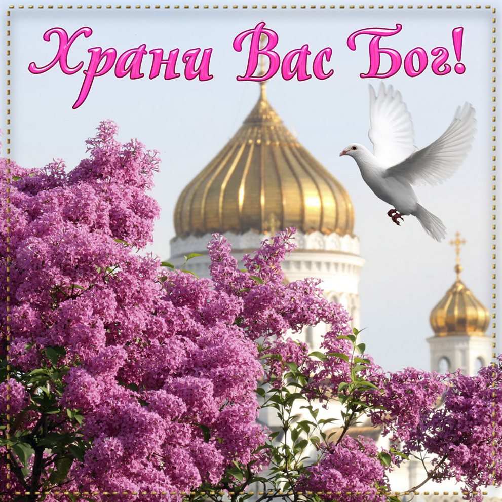 Нежность и внимание