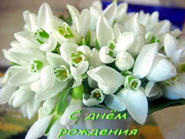 Подарок в виде открытки