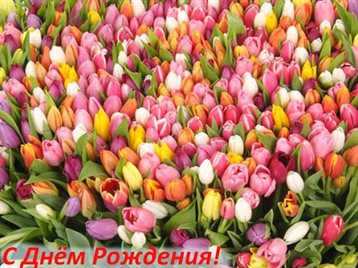 Позитивные эмоции для Весенние открытки с Днем Рождения - марта, апреля, мая