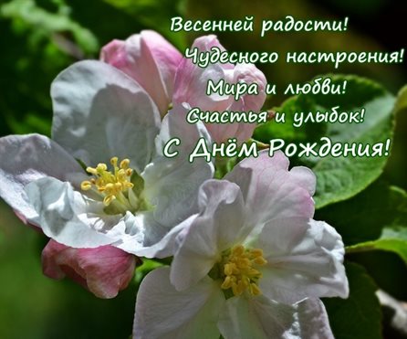 Немного волшебства в ваш день