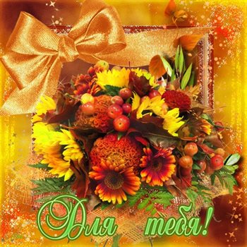 Немного волшебства в ваш день