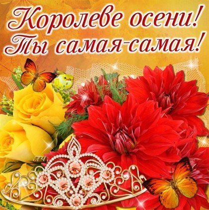 Подарок в виде открытки