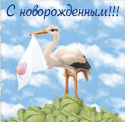 Чудесные поздравления для Открытки с рождением мальчика