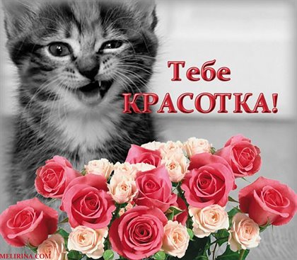 Особенная открытка для Открытки с цветами подруге с Днем Рождения