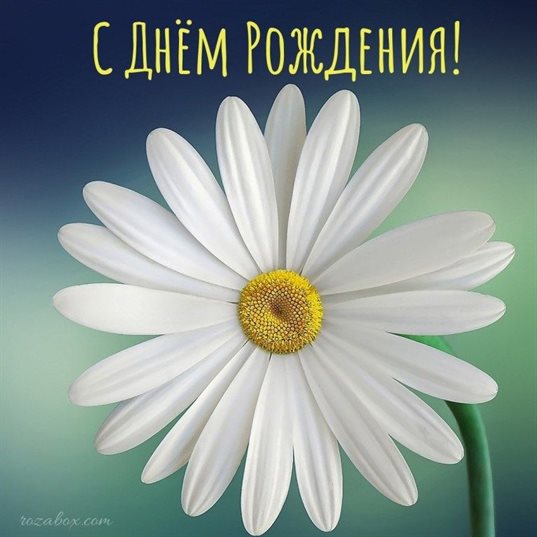 Поздравляем!