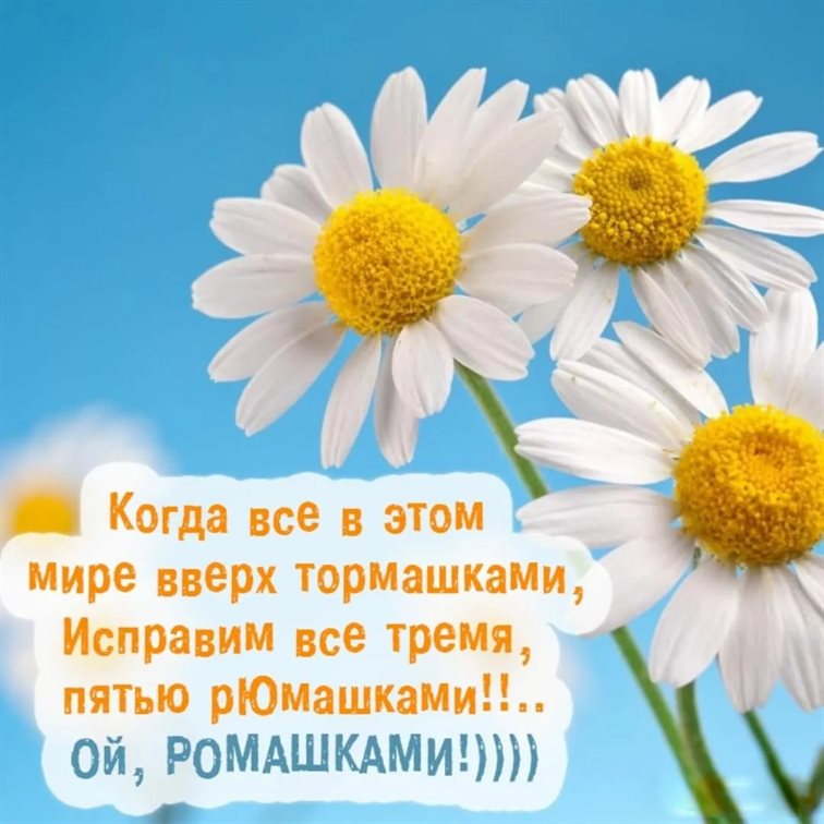 Чудесные поздравления для Открытки с ромашками с Днем Рождения