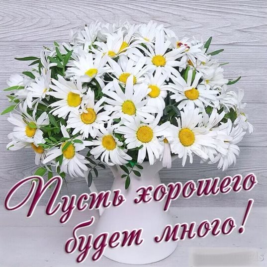 Немного волшебства в ваш день