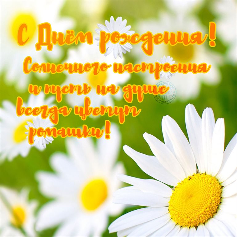 Подарок в виде открытки