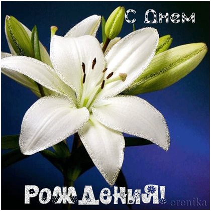 Позитивные эмоции для Открытки с лилиями с Днем Рождения