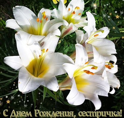 Поздравляем!