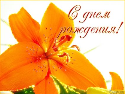 Подарок в виде открытки