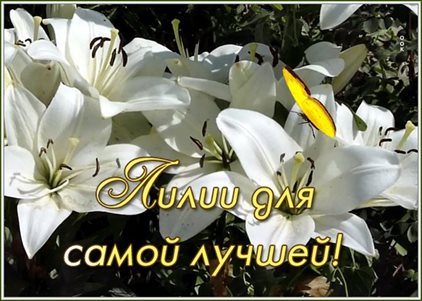 Подарок в виде открытки