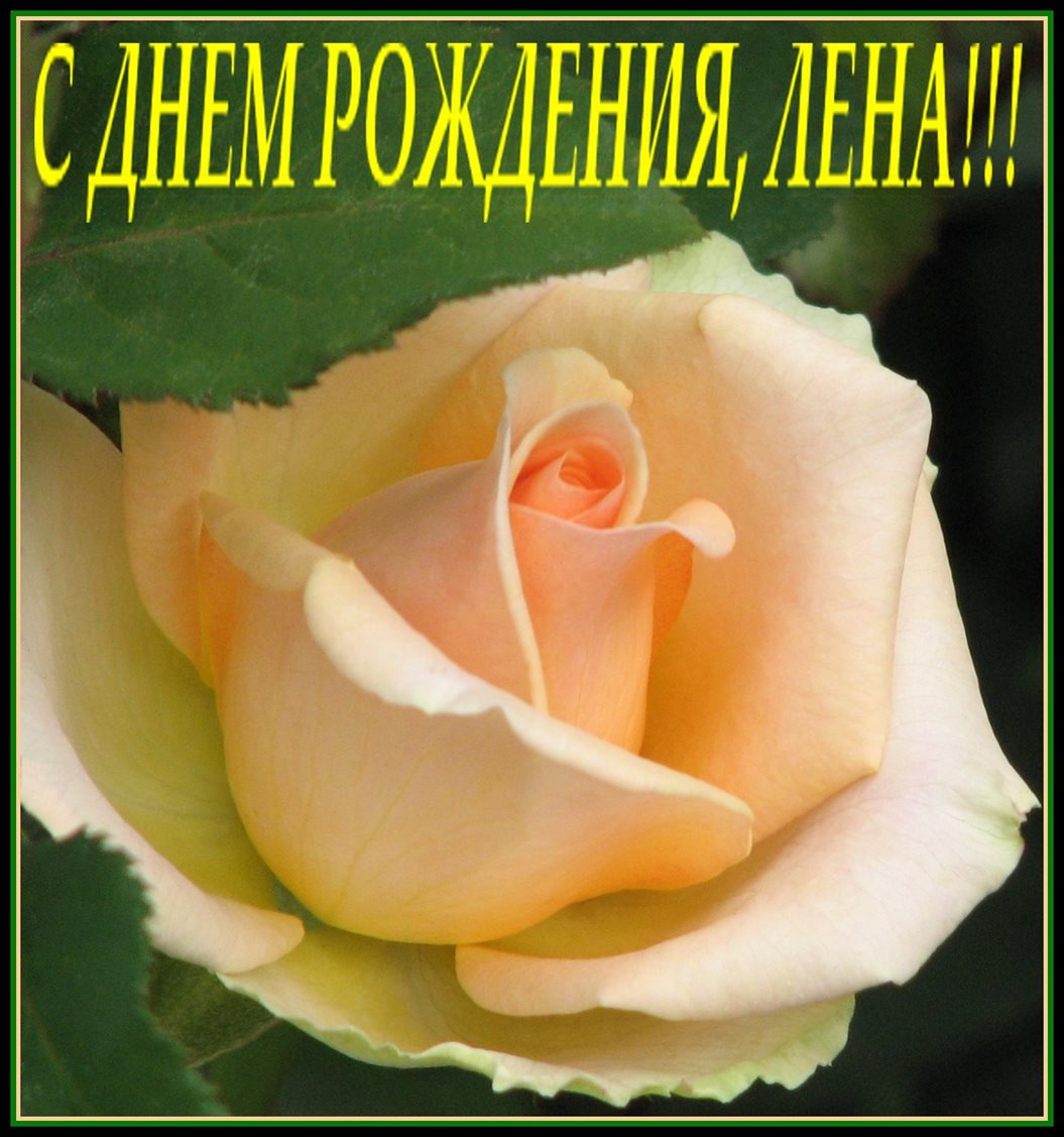 Нежность и внимание