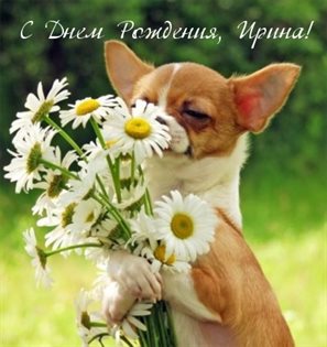 Нежные поздравления для Открытки Ирине с Днем Рождения