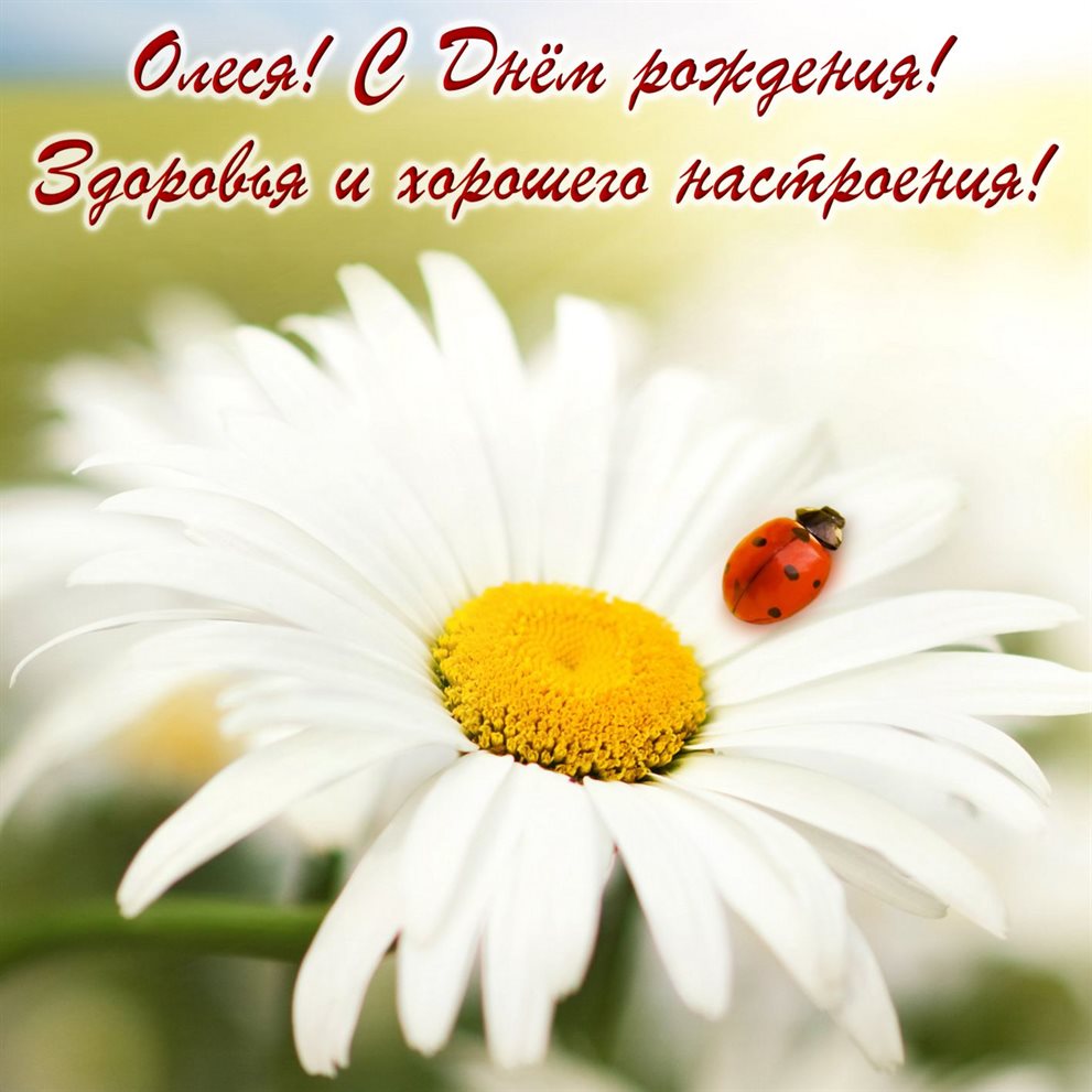 Доброта и забота