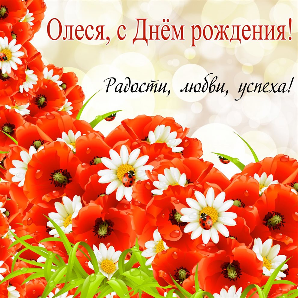 Луч света в ваш день