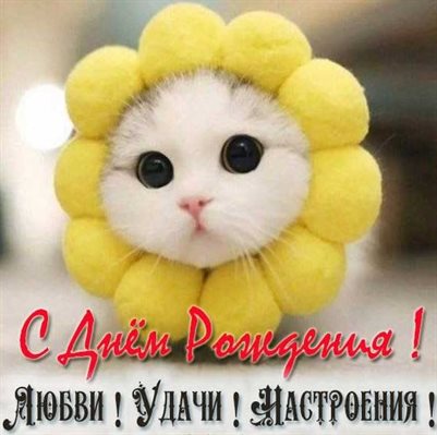 Нежность и внимание