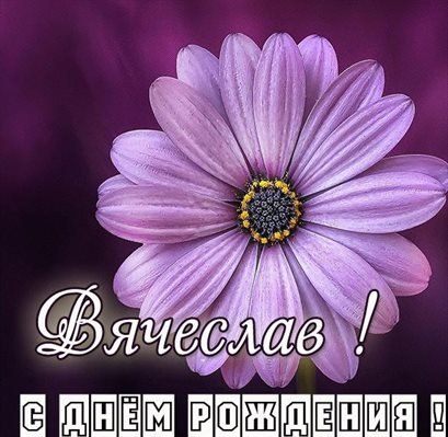От души: Открытки Вячеславу с Днем Рождения