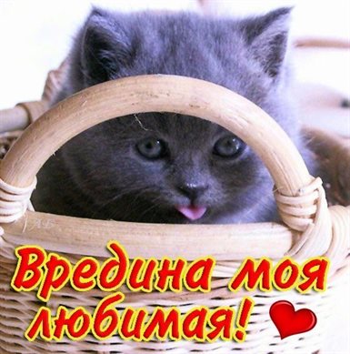 Особенная открытка для Открытки любимой женщине с Днем Рождения