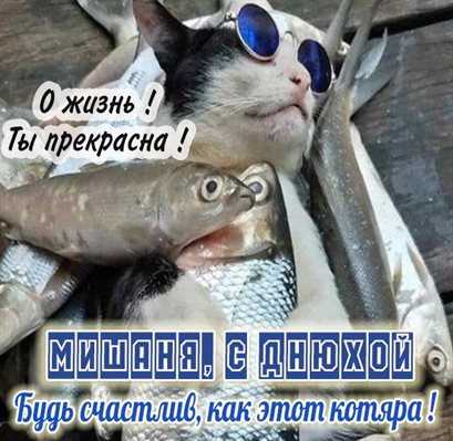 Нежность и внимание