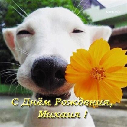 Немного тепла и заботы