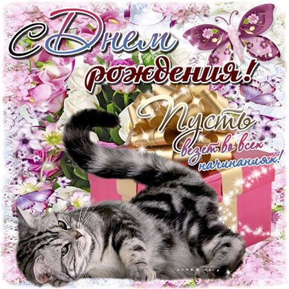 Яркие пожелания для Открытки любимой женщине с Днем Рождения