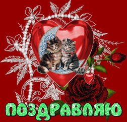 Искренние пожелания