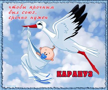 Немного тепла и заботы