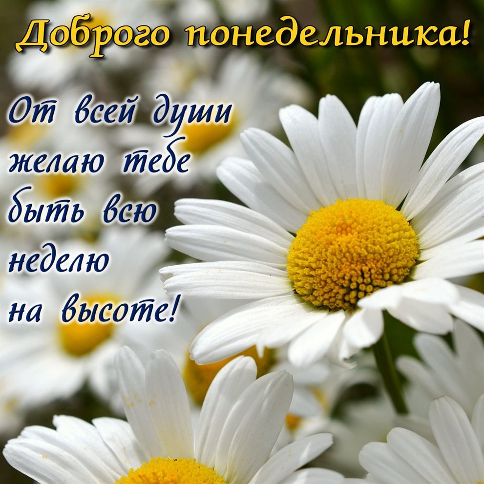 Доброта и забота