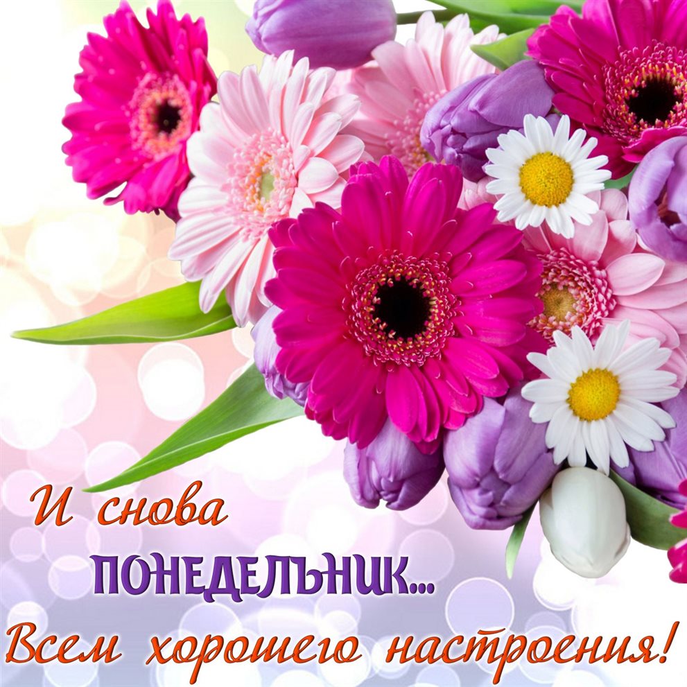 Больше радости в жизни