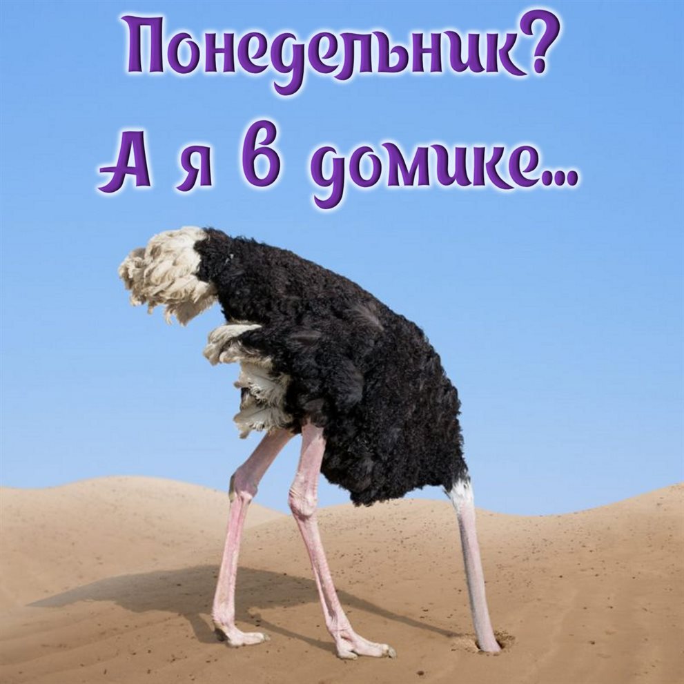 Тепло и счастье в каждом моменте