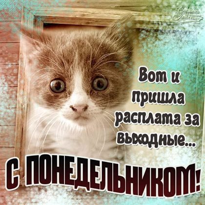 Поздравляем!