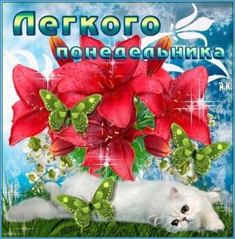 Яркие пожелания для Картинки с понедельником