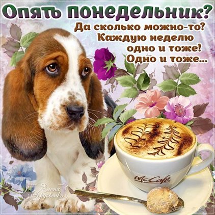 Улыбок, любви и тепла