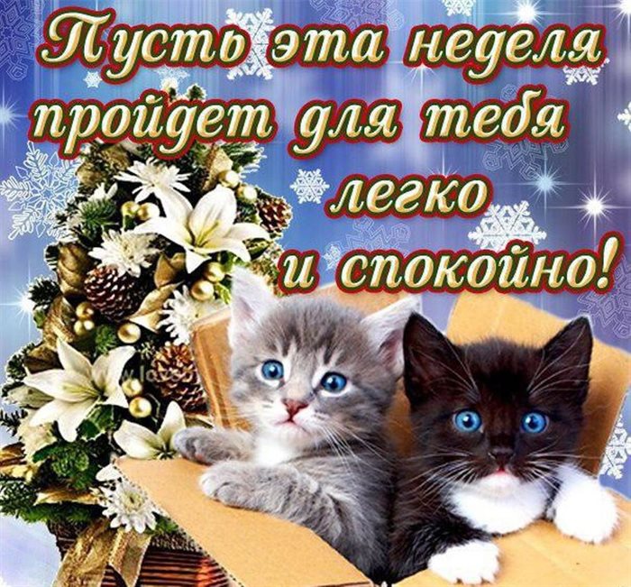 Яркая открытка для вас
