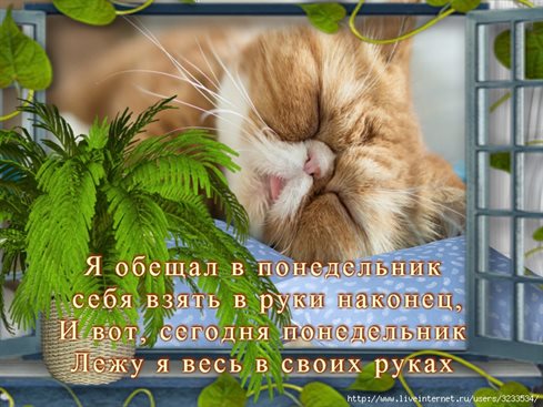 От души: Картинки с понедельником