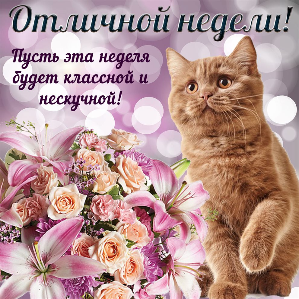 Хорошего настроения сегодня