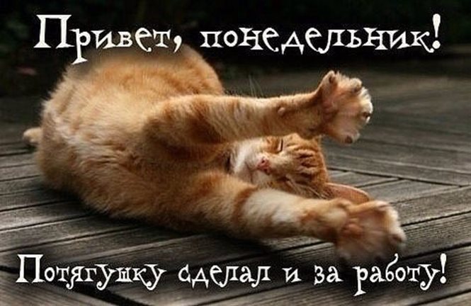 Пусть в жизни будет больше праздников