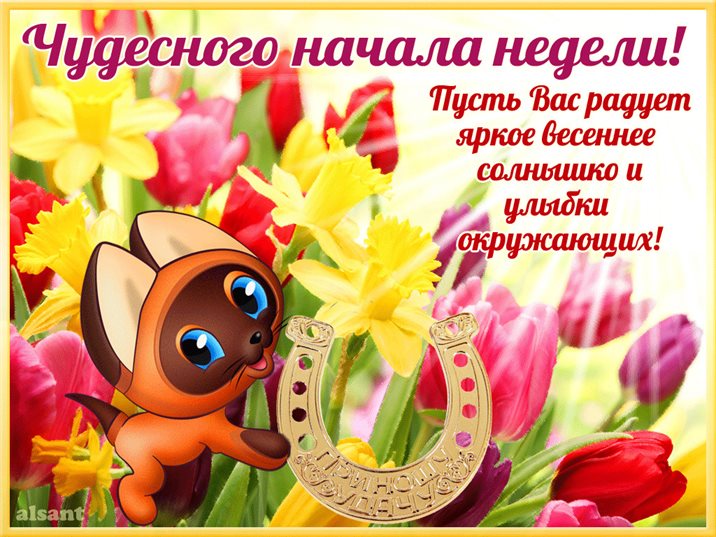 Лучшие пожелания