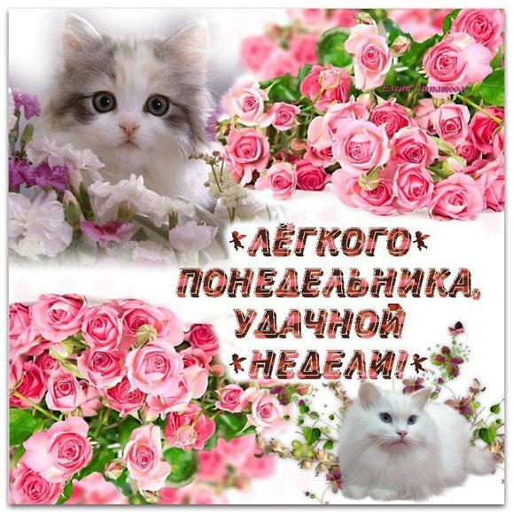 Теплые слова для Картинки с понедельником