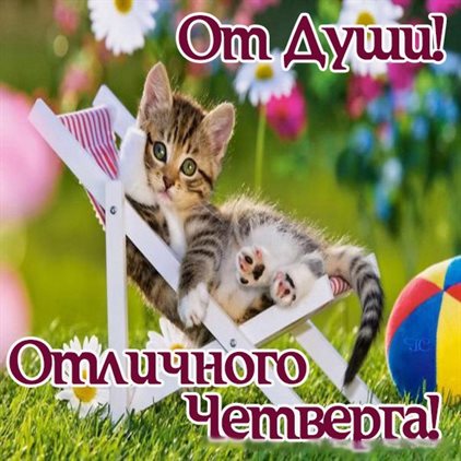 Пусть день будет незабываемым