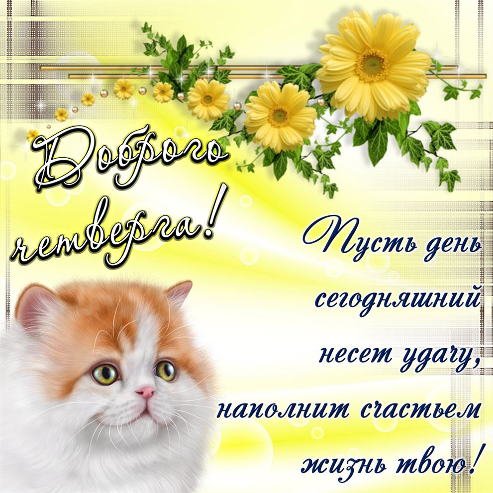 Теплые поздравления